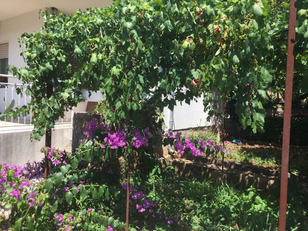 Apartamento Relax Garden Stari Grad  Exterior foto